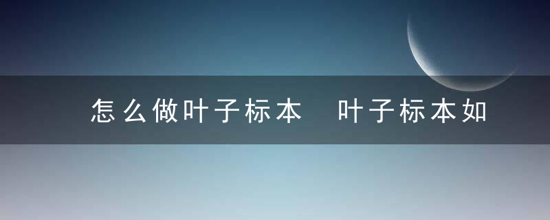 怎么做叶子标本 叶子标本如何做